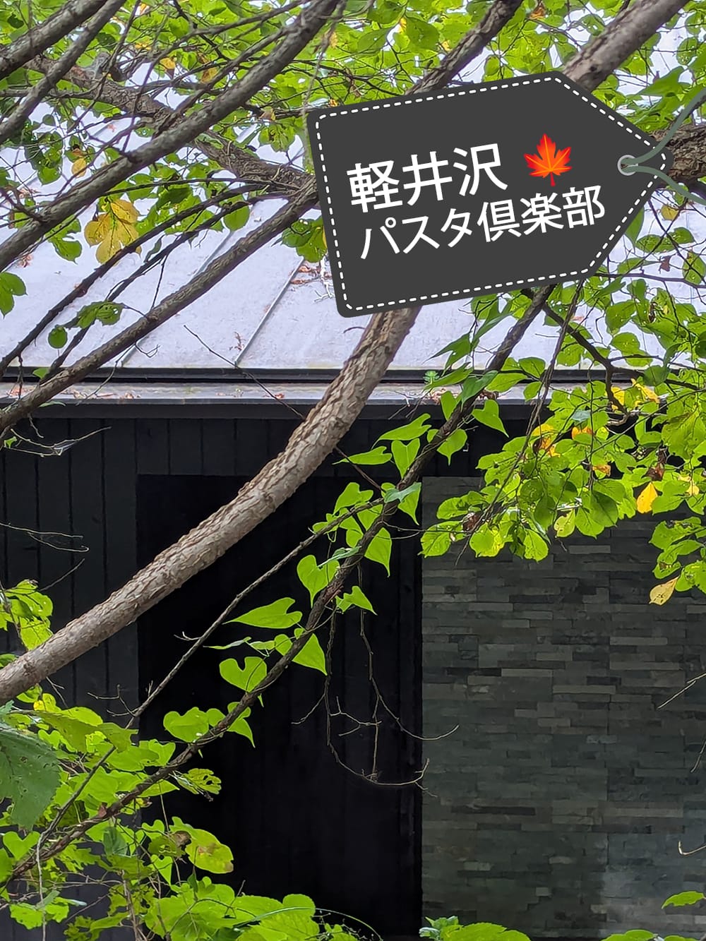 軽井沢の森で炎を囲む「軽井沢パスタ倶楽部」
