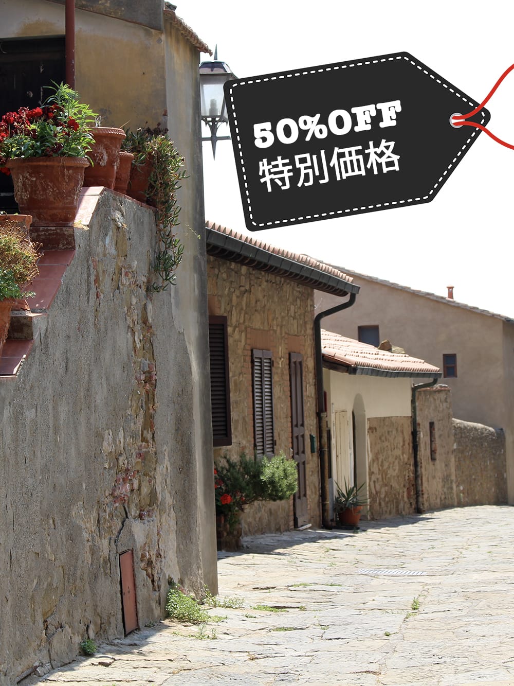 【50%OFFまとめ買い】パスタ旅20州「小さな村編」vol.1〜20レシピ完全集